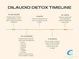 how long does dilaudid stay in your system​