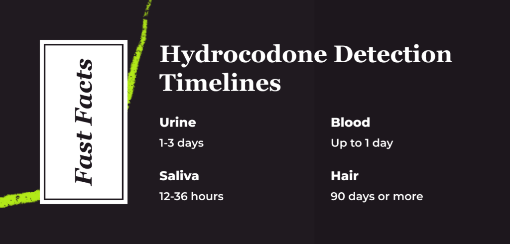 how long does hydrocodone stay in urine​