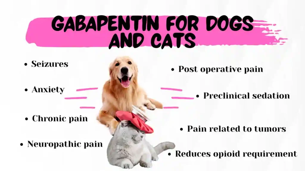 Gabapentin for Dogs and Cats uses dosage side effects