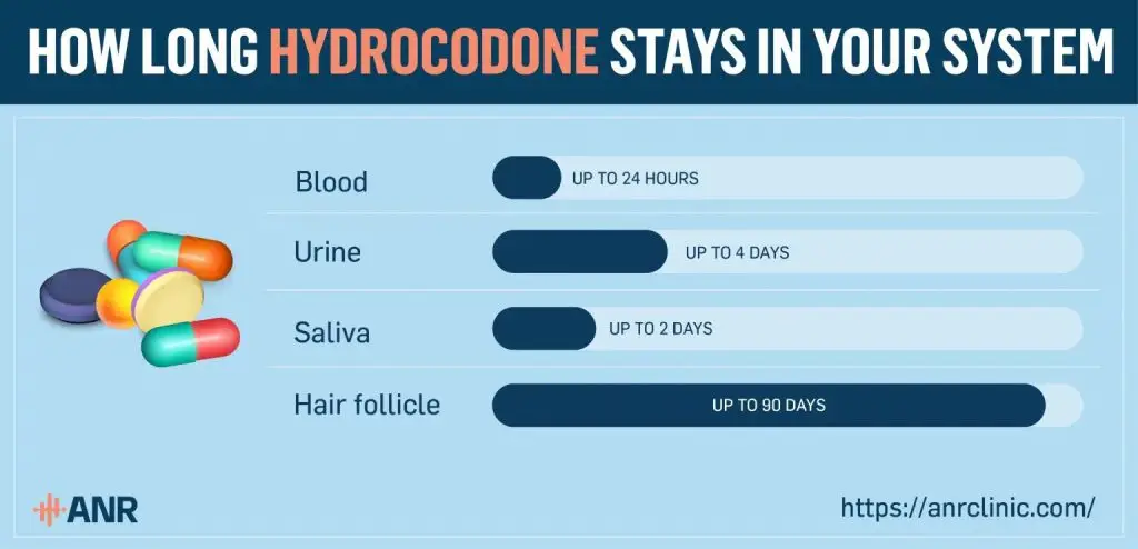 How Long Does Hydrocodone Last and Stay in Your System?