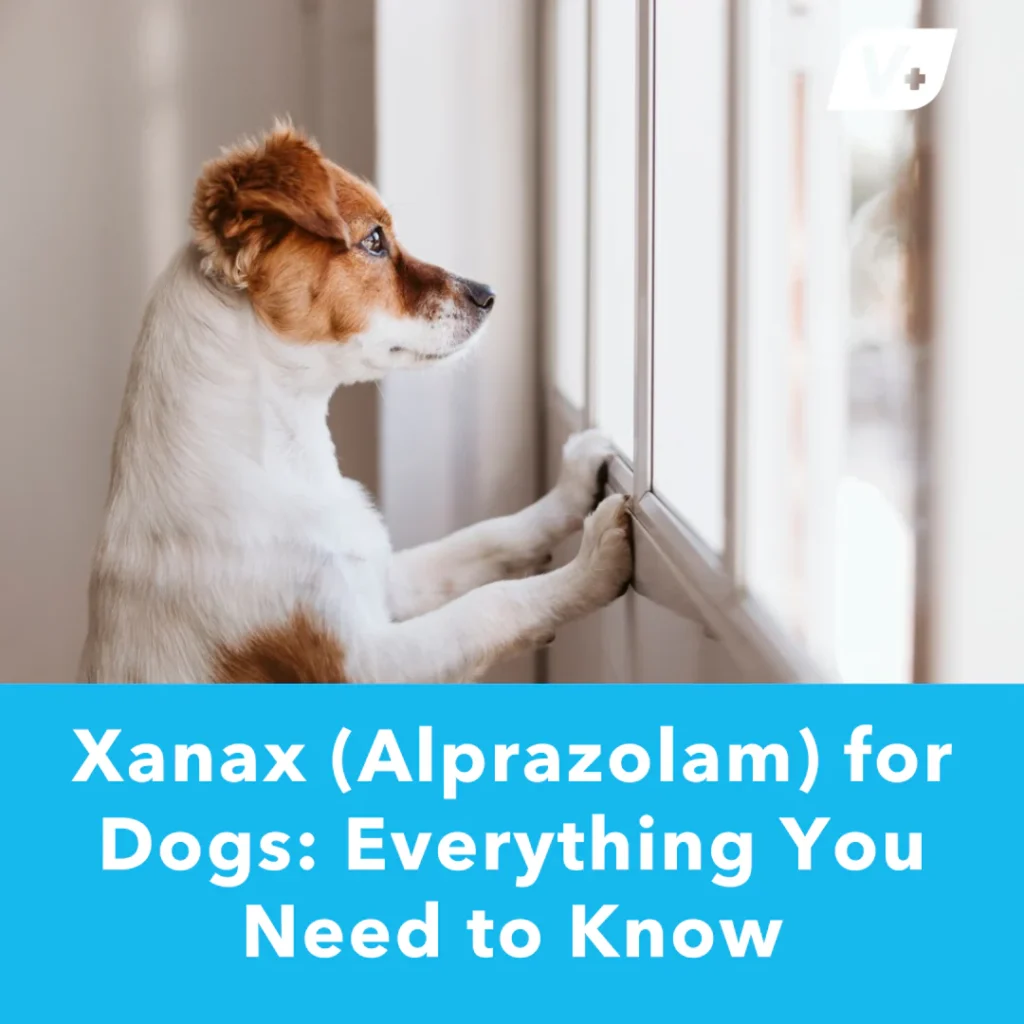 alprazolam dosage for dogs