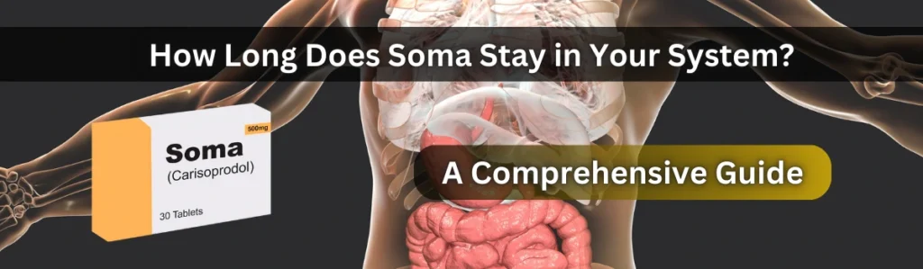 How Long Does Soma Stay in Your System