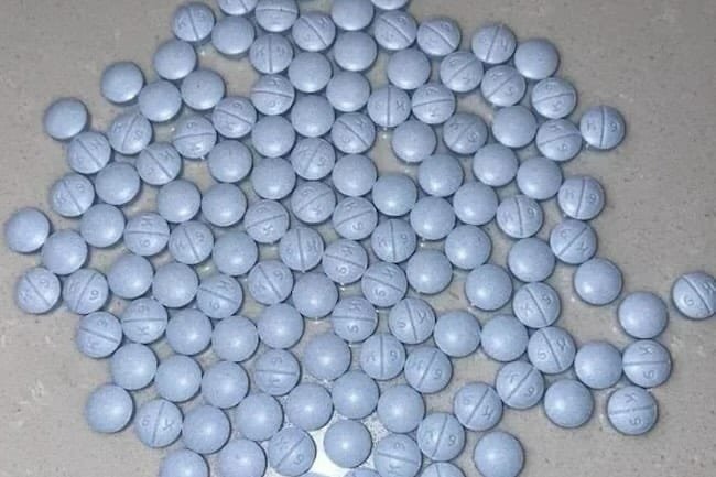 Order K-9 Blues Online